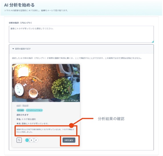 分析を試すボタン